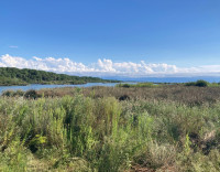 Maltakva River Mouth